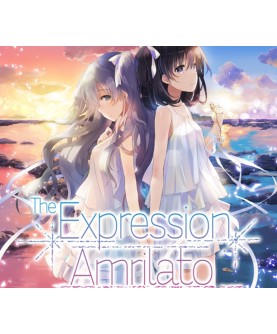 The Expression Amrilato valid until February 2027 Steam Key GLOBAL
